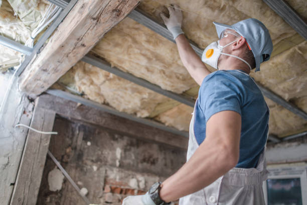 Best Commercial Insulation Services  in Clarksburg, WV