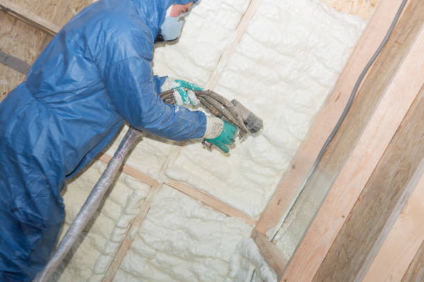 Best Eco-Friendly or Green Insulation Solutions  in Clarksburg, WV